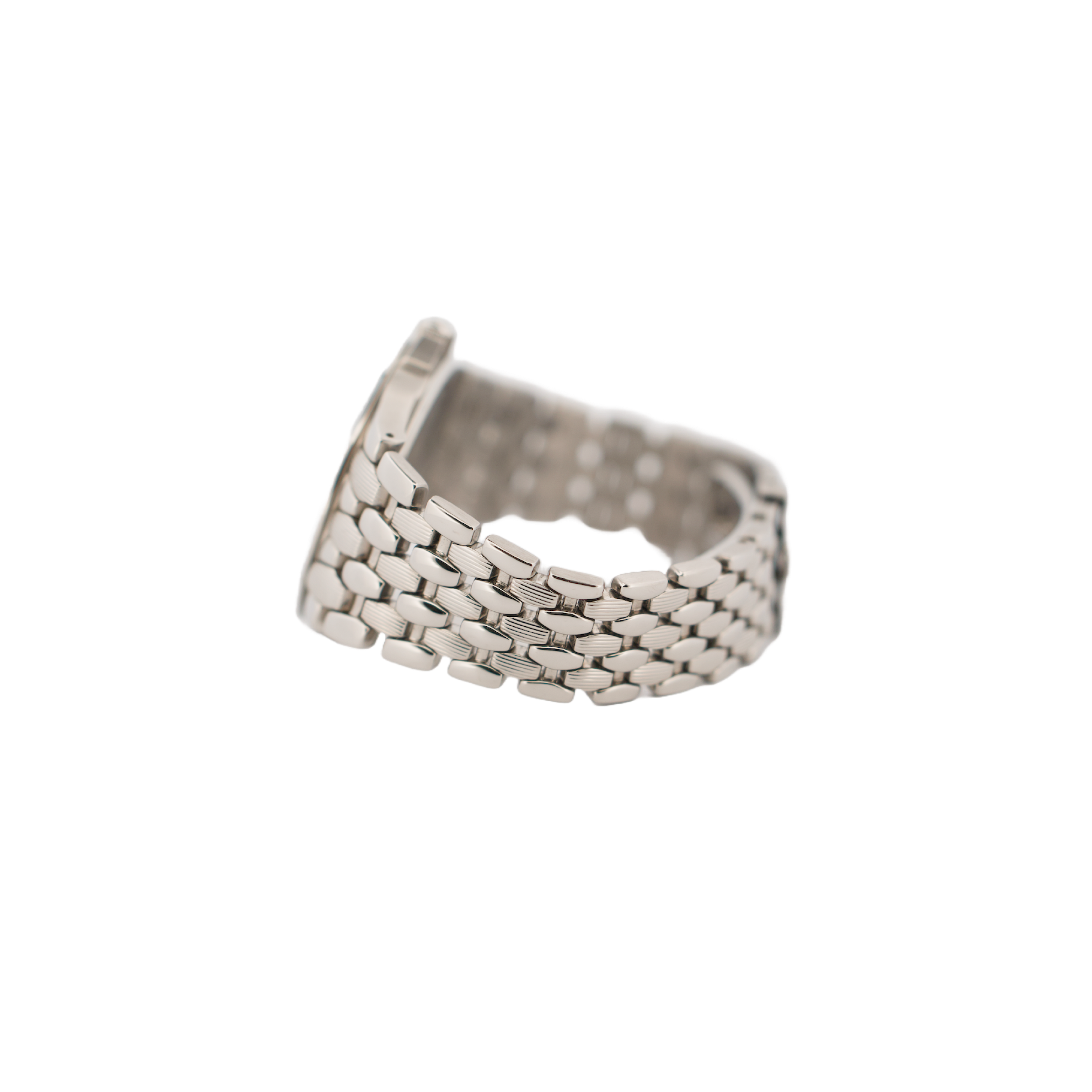 Patek Philippe Neptune 5080/1A