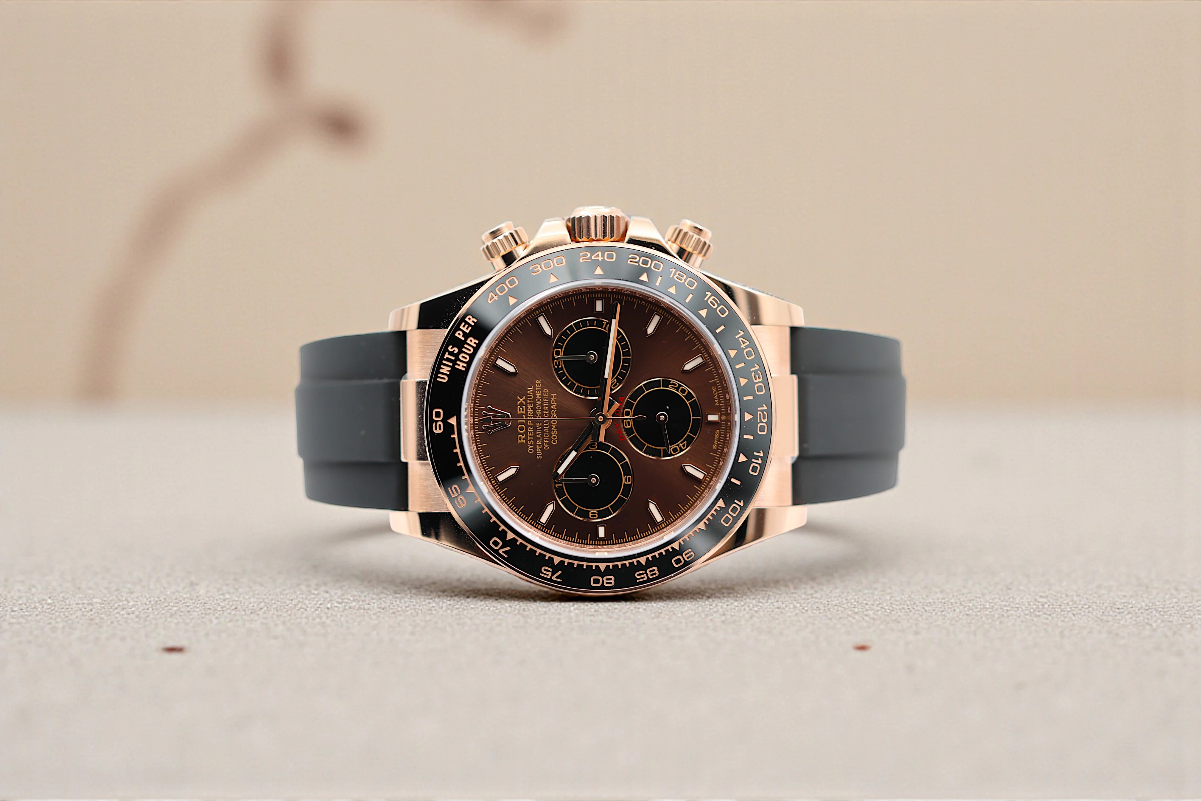 Rolex - Daytona - Chocolate Dial - 126515LN - 2026
