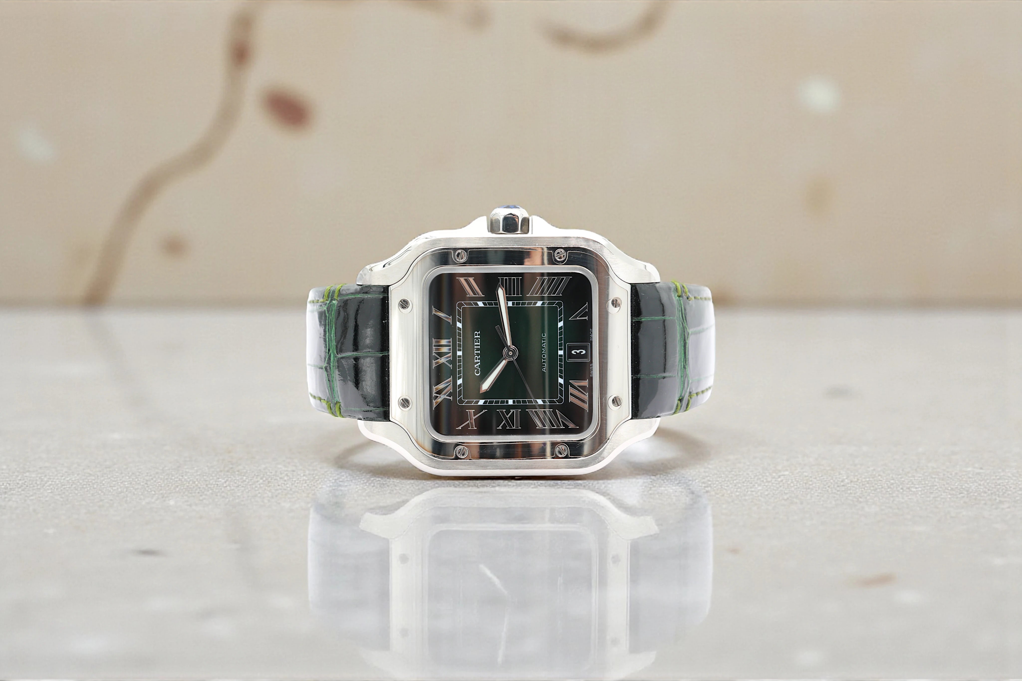 Cartier - Santos - Green Dial - WSSA0062 - 2025