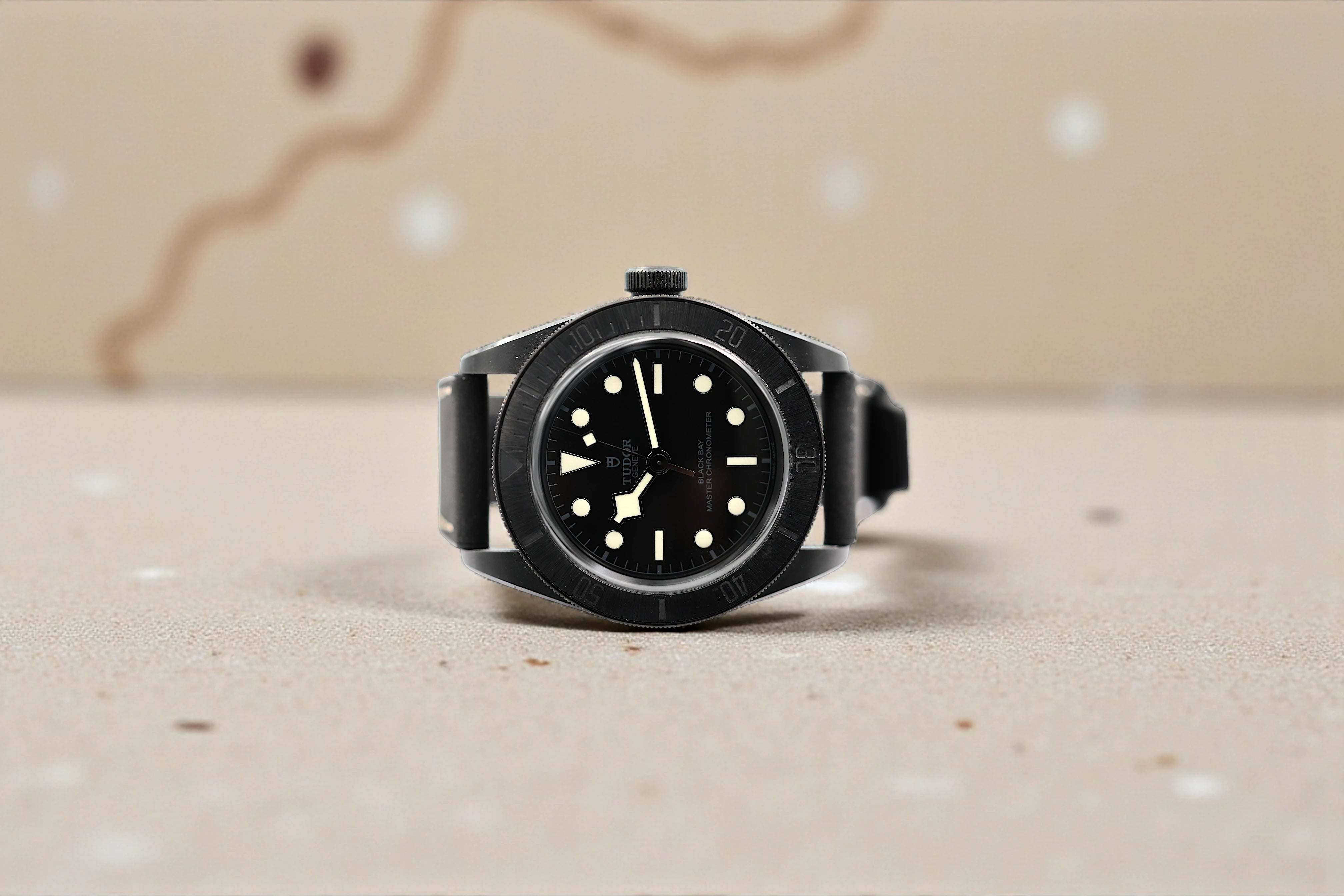 Tudor - Black Bay - Black Dial - 79210CNU - 2021
